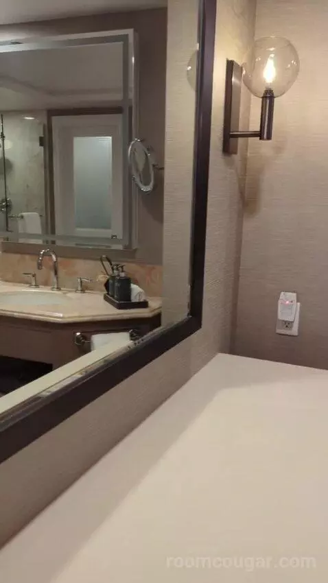 Garden View Room with King Bed (#377) bathroom picture #5