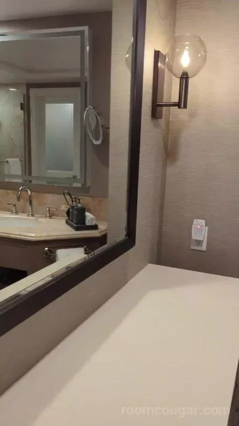 Garden View Room with King Bed (#377) bathroom picture #6