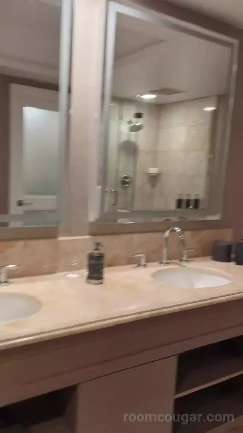 Garden View Room with King Bed (#377) bathroom picture #8