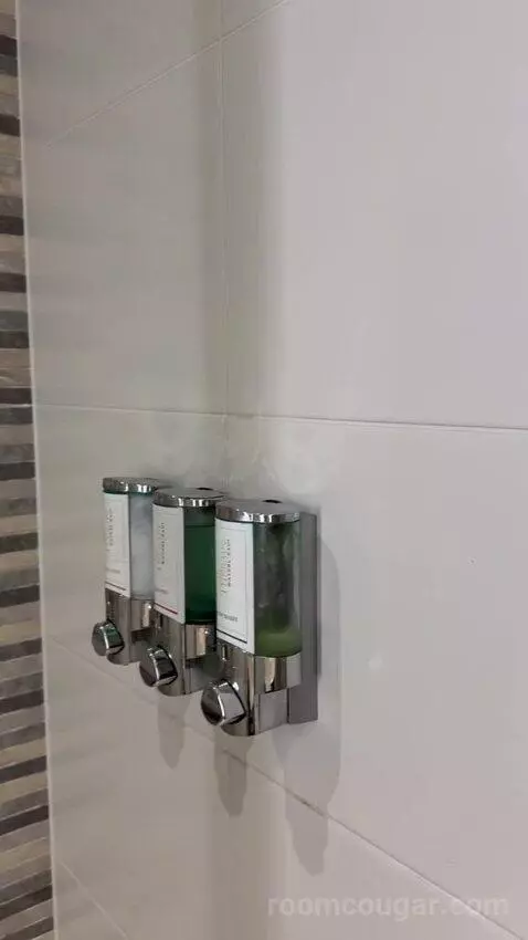 Standard (#249) bathroom picture #5