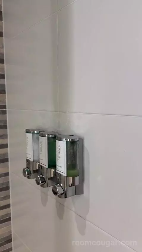 Standard (#249) bathroom picture #6