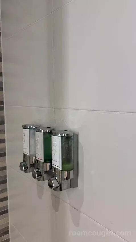 Standard (#249) bathroom picture #7