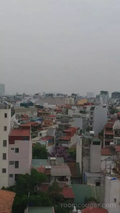 Premium Suite view picture #5