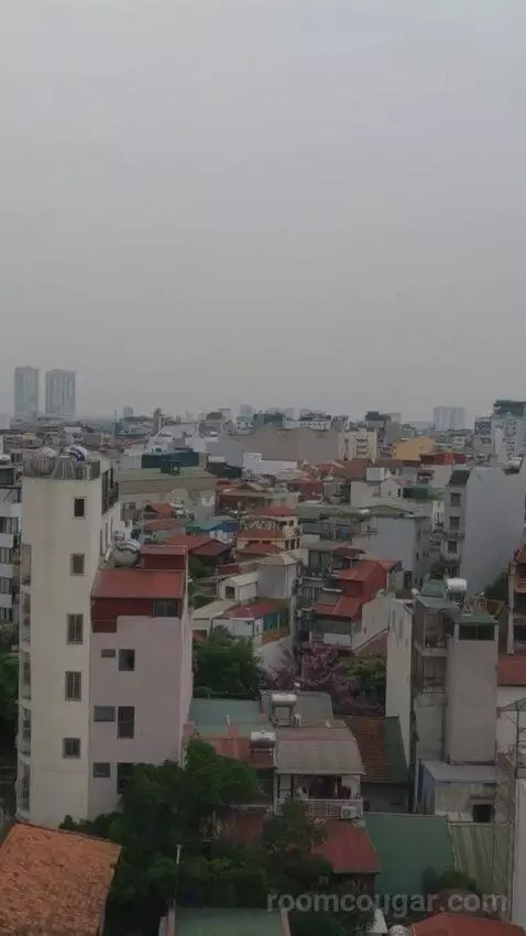 Premium Suite view picture #6
