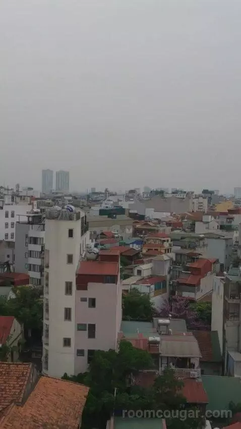 Premium Suite view picture #7