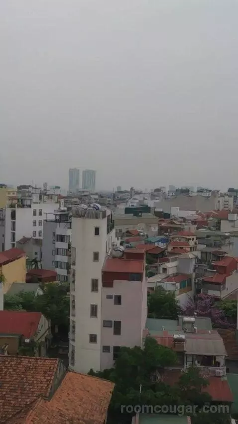 Premium Suite view picture #8