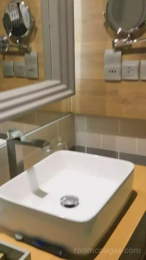 Suite (Double) bathroom picture #10