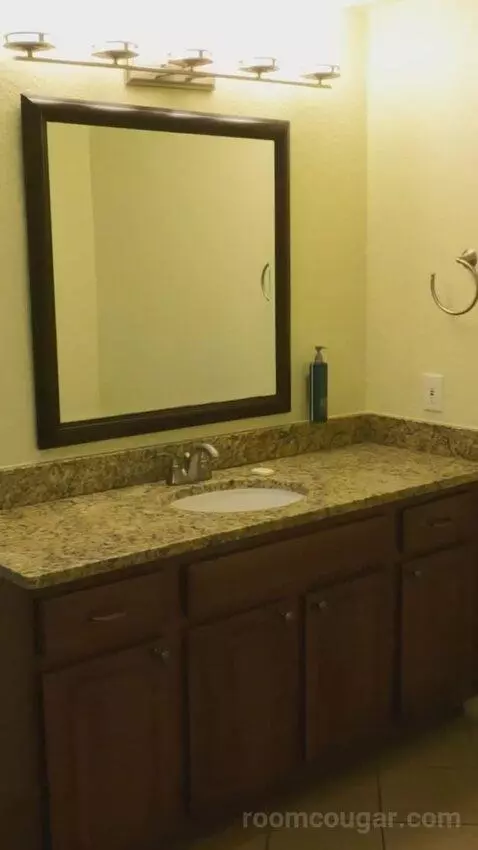One-Bedroom Deluxe King Suite (#12103) bathroom picture #2