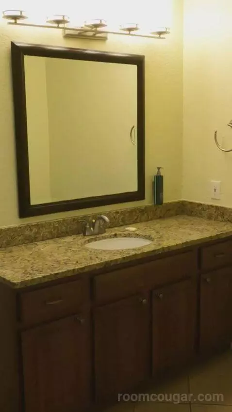 One-Bedroom Deluxe King Suite (#12103) bathroom picture #3
