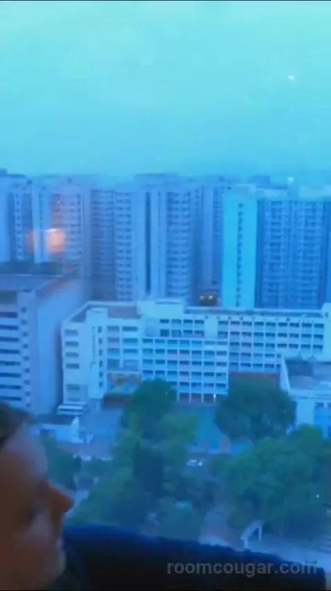King Room with Garden View - High Floor view picture #1