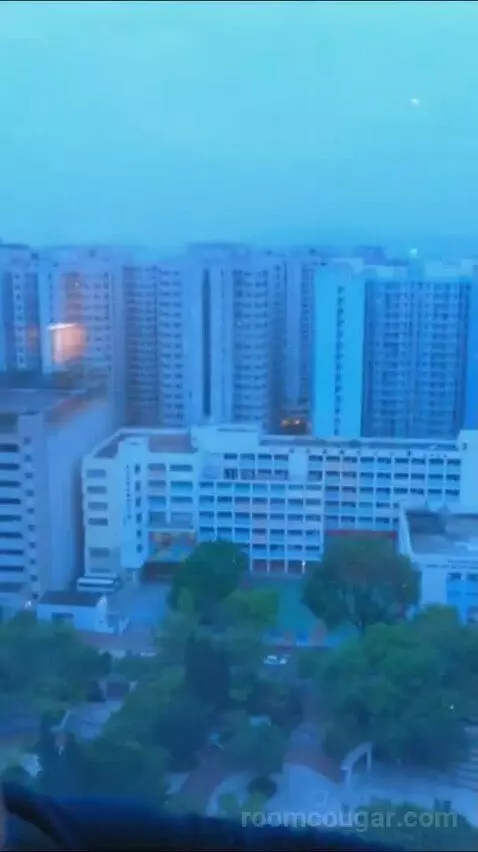 King Room with Garden View - High Floor view picture #2
