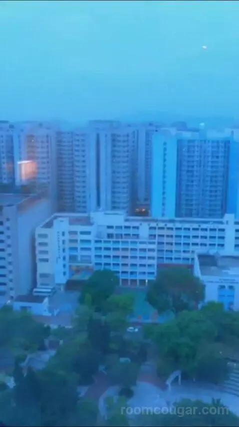King Room with Garden View - High Floor view picture #3
