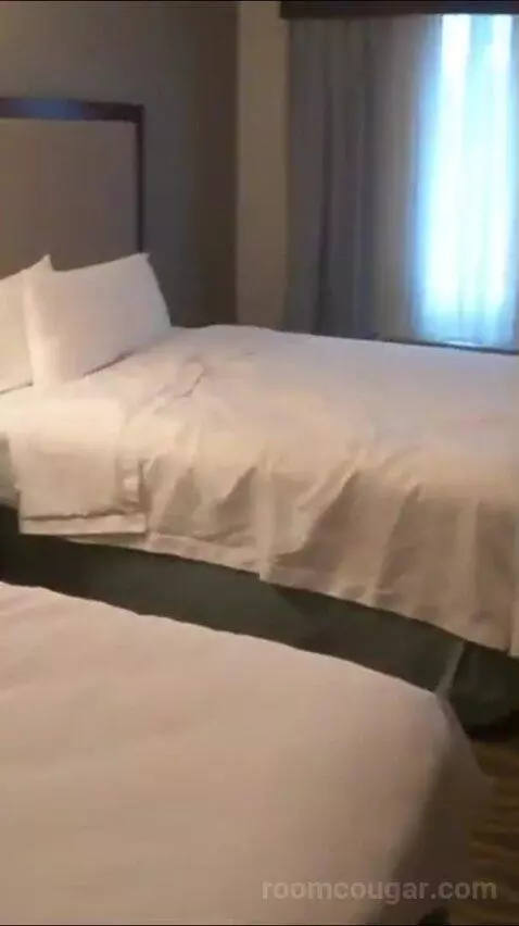One-Bedroom Queen Suite with Two Queen Beds (#319) bed picture #9