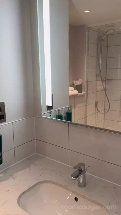 Standard (#209) bathroom picture #3