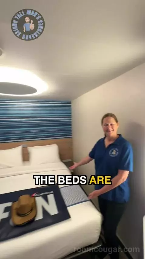 Inside Cabin bed picture #5
