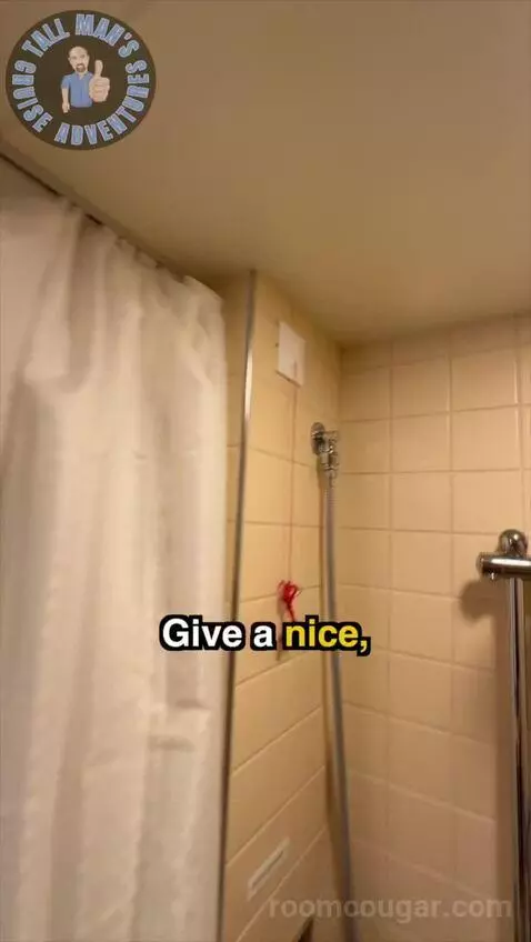 Accessible (Inside) bathroom picture #5