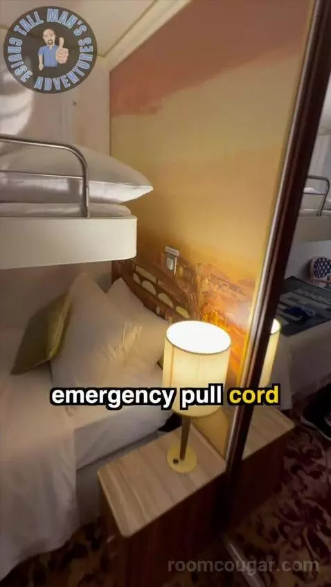 Accessible (Inside) bed picture #10