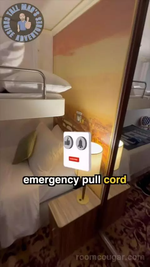 Accessible (Inside) bed picture #11
