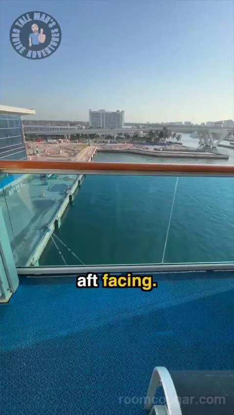 tallmanscruiseadventures's review preview (Emerald Princess)