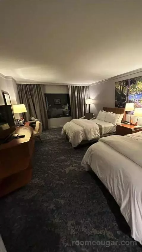 Standard Double Room with Two Double Beds bed picture #1