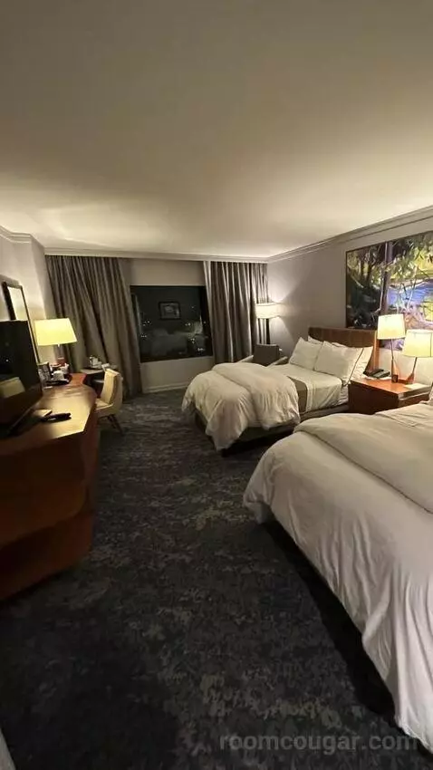 Standard Double Room with Two Double Beds bed picture #2