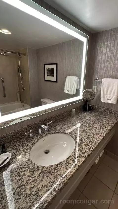 Standard Double Room with Two Double Beds bathroom picture #2