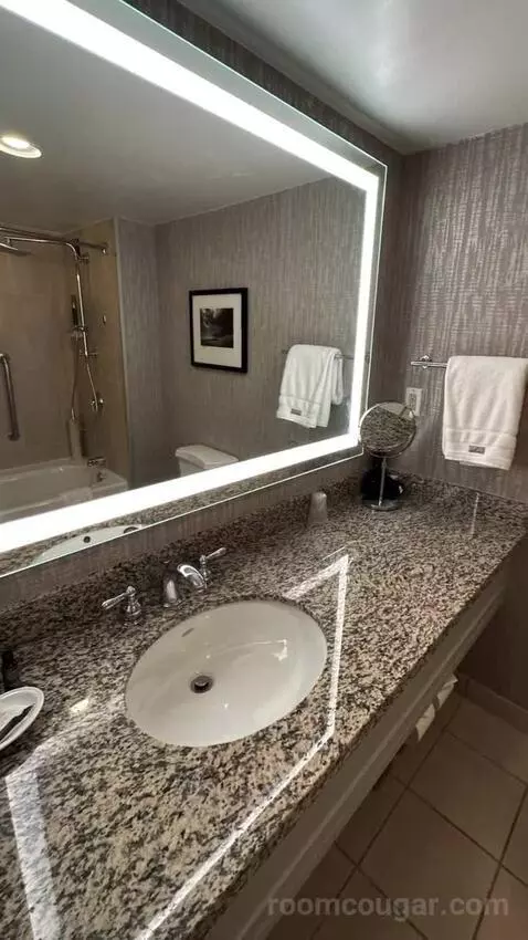 Standard Double Room with Two Double Beds bathroom picture #3