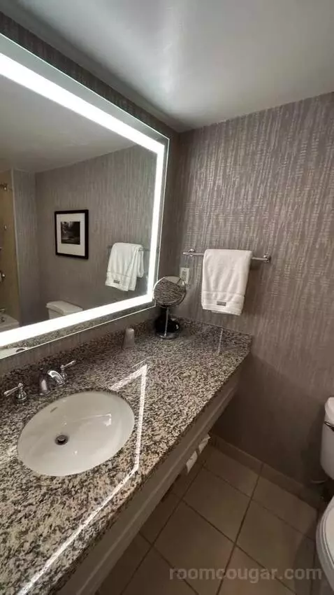 Standard Double Room with Two Double Beds bathroom picture #4