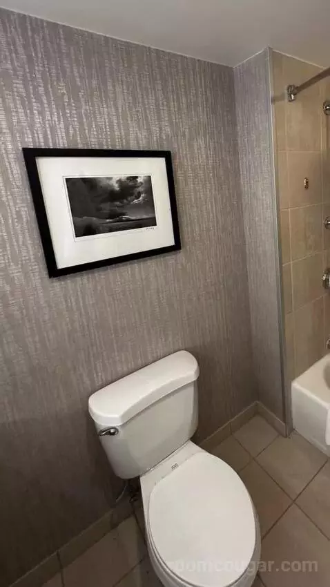 Standard Double Room with Two Double Beds bathroom picture #6