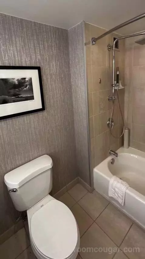 Standard Double Room with Two Double Beds bathroom picture #7