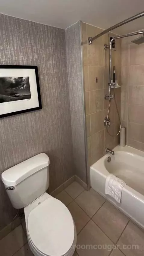 Standard Double Room with Two Double Beds bathroom picture #8