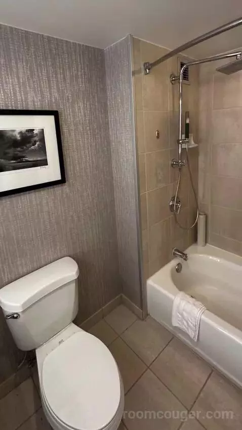 Standard Double Room with Two Double Beds bathroom picture #9