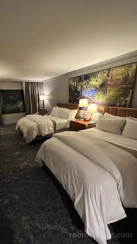 Standard Double Room with Two Double Beds bed picture #5