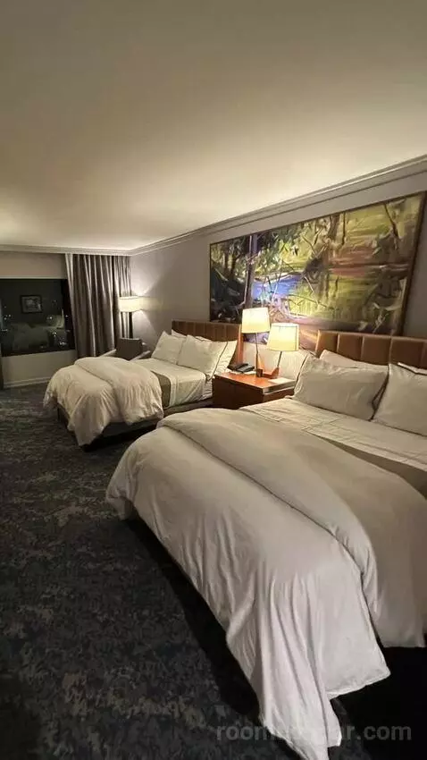 Standard Double Room with Two Double Beds bed picture #6