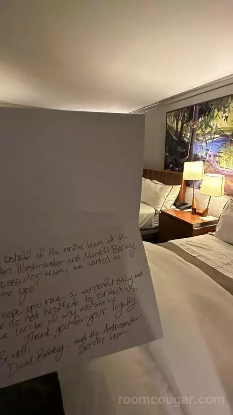 Standard Double Room with Two Double Beds bed picture #9