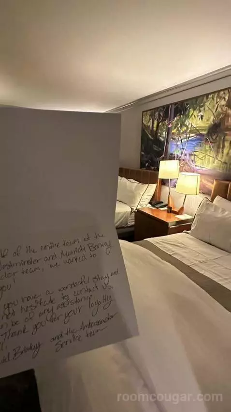 Standard Double Room with Two Double Beds bed picture #11