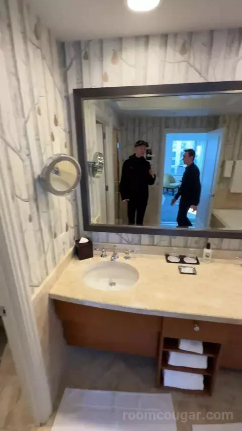 Luxury Suite, 1 Bedroom Larger Suite, 1 King, Sofa Bed (#947) bathroom picture #11