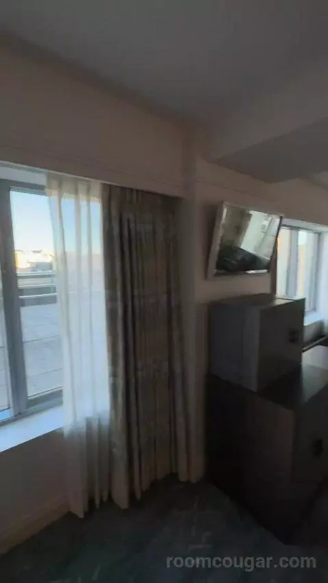 Luxury Suite, 1 Bedroom Larger Suite, 1 King, Sofa Bed (#947) bed picture #1
