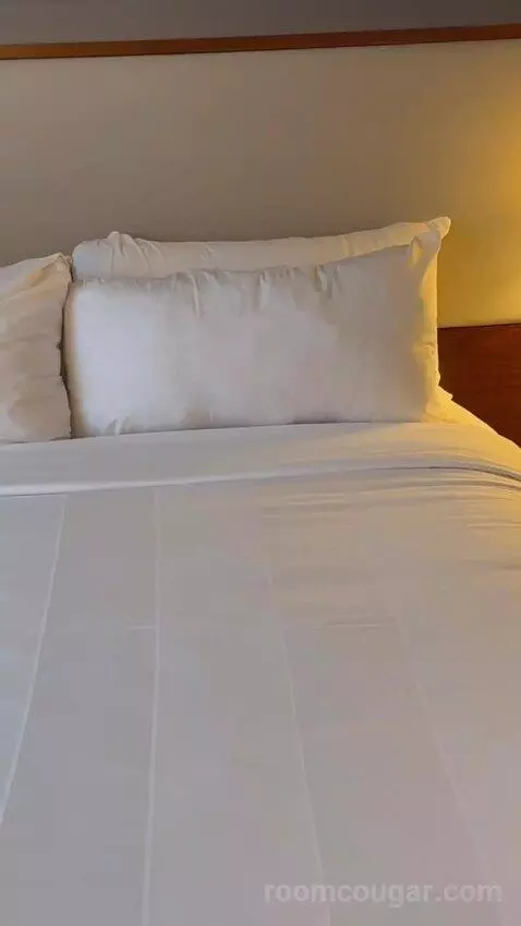 Two Queen Beds bed picture #1