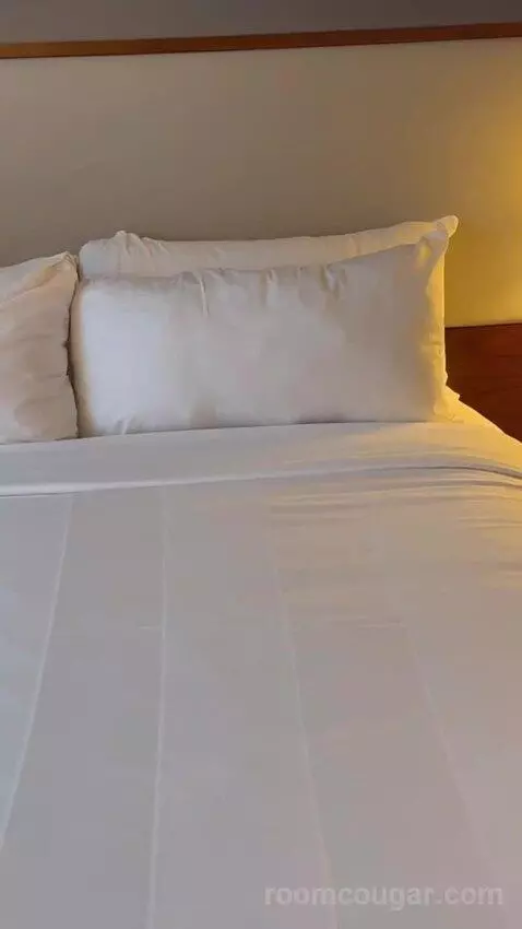Two Queen Beds bed picture #2