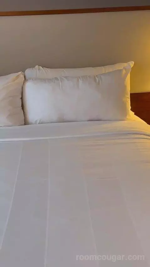 Two Queen Beds bed picture #3