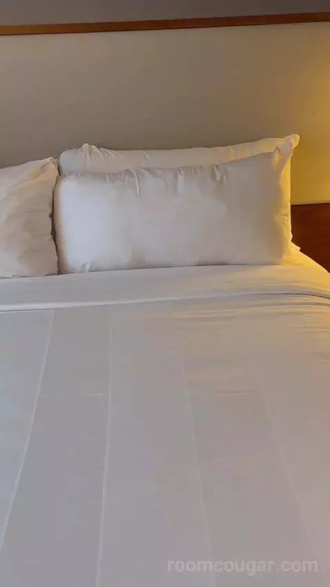 Two Queen Beds bed picture #5