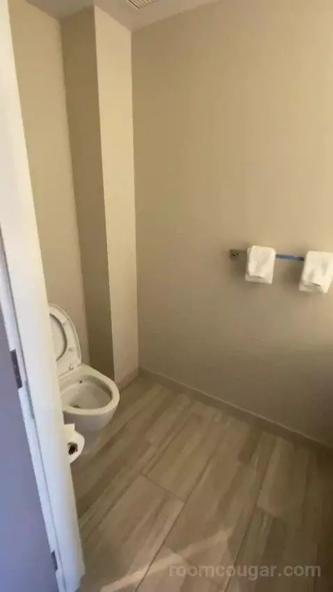 1 Bedroom Executive Suite, 1 King, Sofa Bed (#524) bathroom picture #5