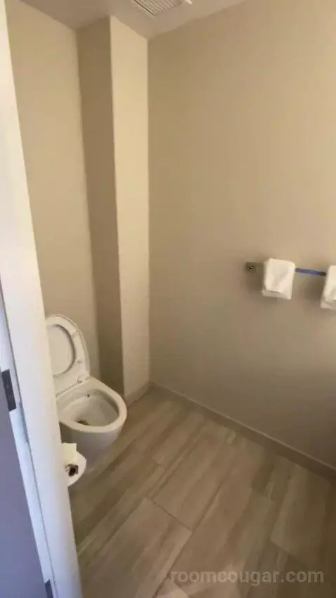 1 Bedroom Executive Suite, 1 King, Sofa Bed (#524) bathroom picture #6