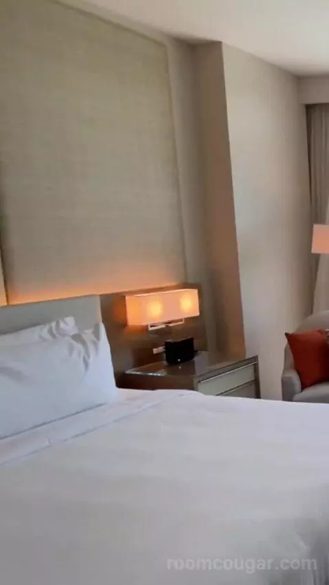 1 Bedroom Executive Suite, 1 King, Sofa Bed (#524) bed picture #8