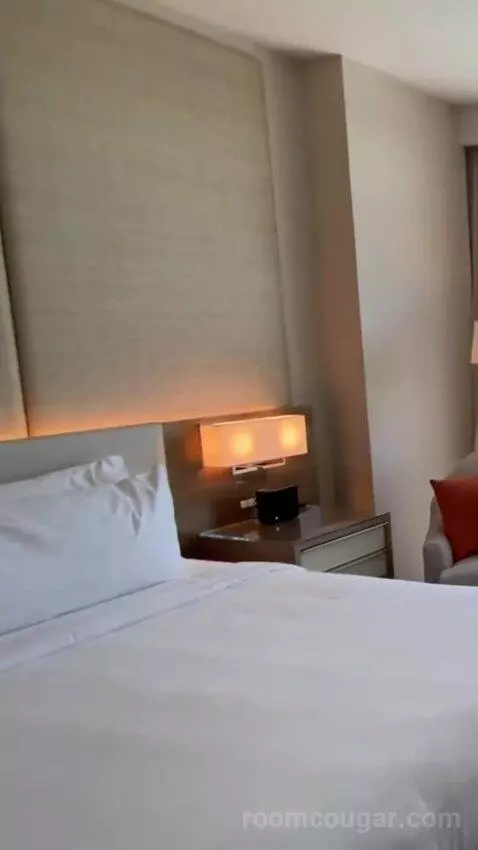 1 Bedroom Executive Suite, 1 King, Sofa Bed (#524) bed picture #9