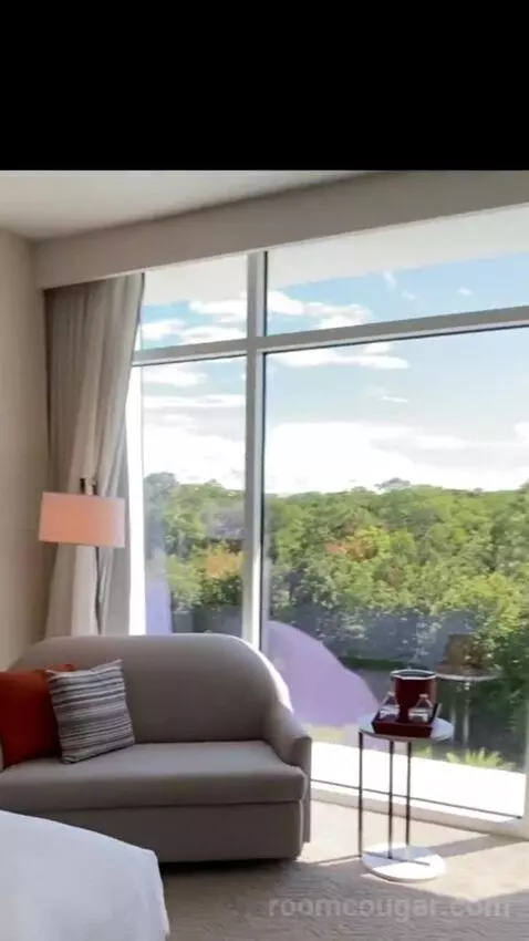 1 Bedroom Executive Suite, 1 King, Sofa Bed (#524) bed picture #10