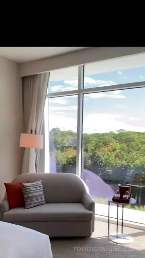 1 Bedroom Executive Suite, 1 King, Sofa Bed (#524) bed picture #11