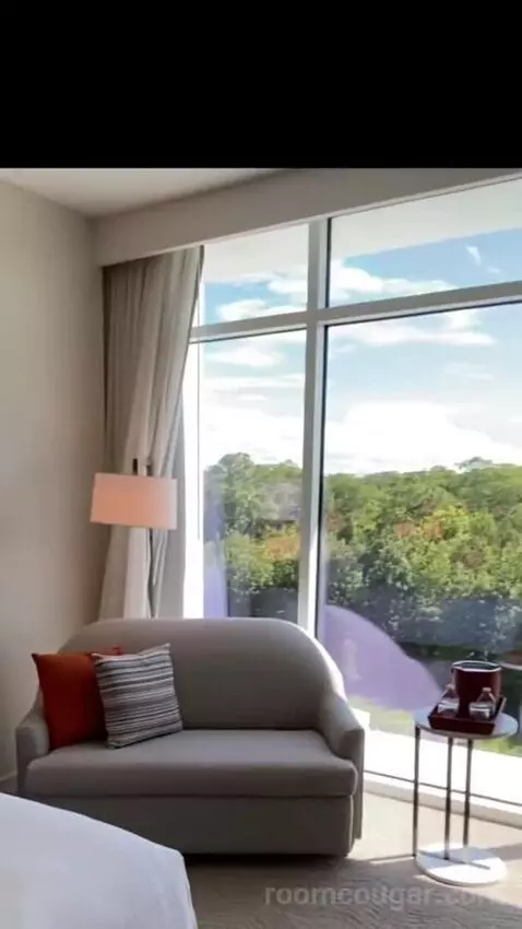 1 Bedroom Executive Suite, 1 King, Sofa Bed (#524) bed picture #12