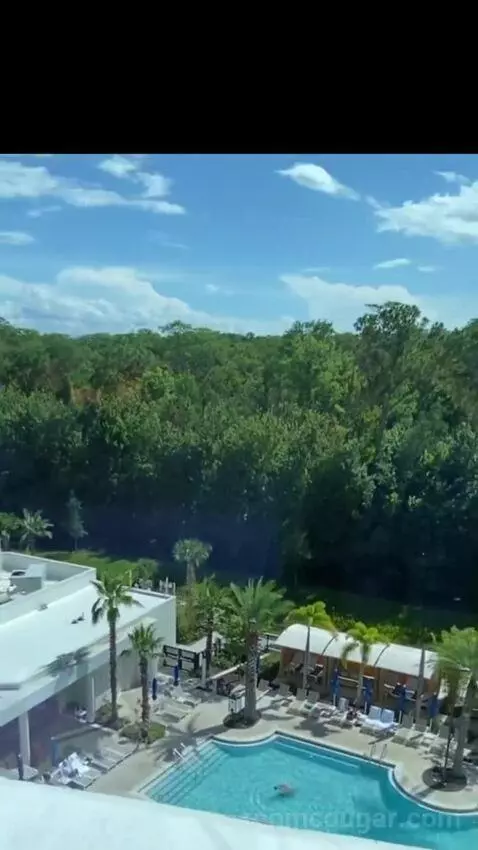 1 Bedroom Executive Suite, 1 King, Sofa Bed (#524) view picture #9